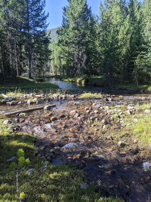 Swift Creek Campground Picture 8