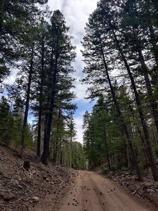 Swift Creek Campground Picture 4