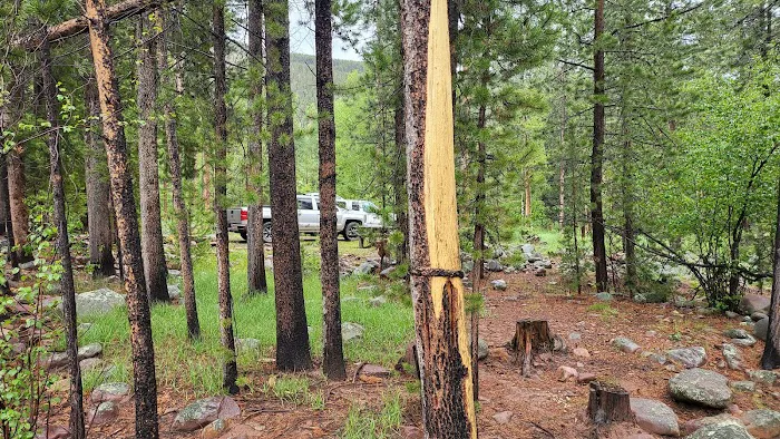 Riverview Campground Picture 5