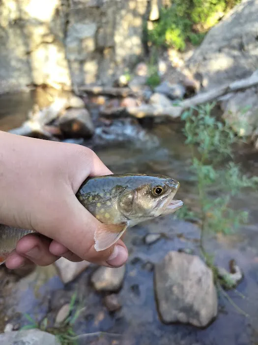 Riverview Campground Picture 2