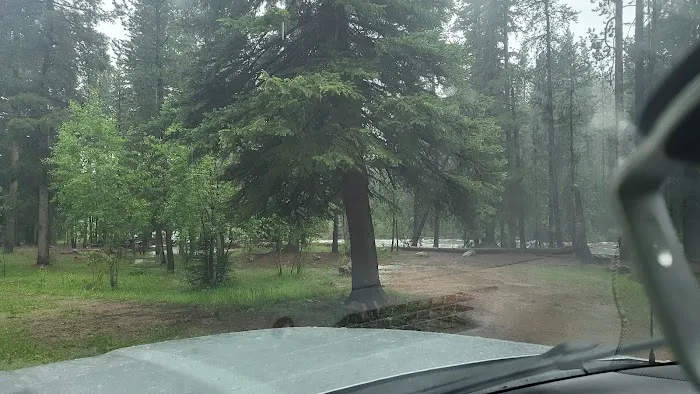 Riverview Campground Picture 8