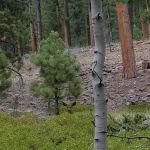 Riverview Campground