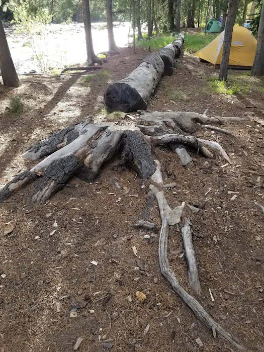 Riverview Campground Picture 10