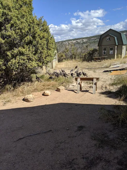 Heritage Grove Campground Picture 1