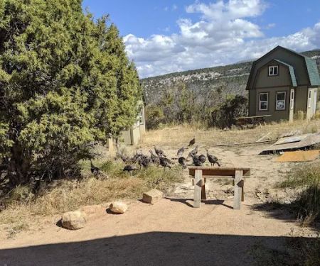 Heritage Grove Campground