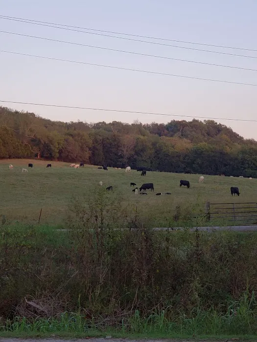 Stoney Creek Travel Park Picture 4