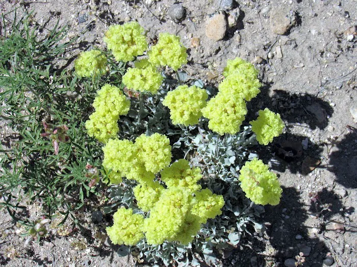 Painted Rocks Campground Picture 6