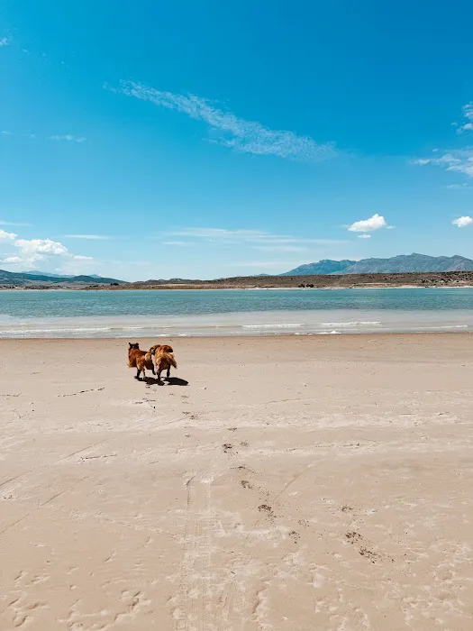 Sandy Beach at Yuba Lake Picture 5