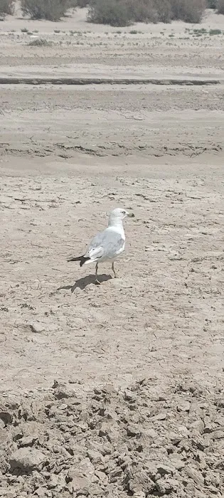 North Beach Campground Picture 3