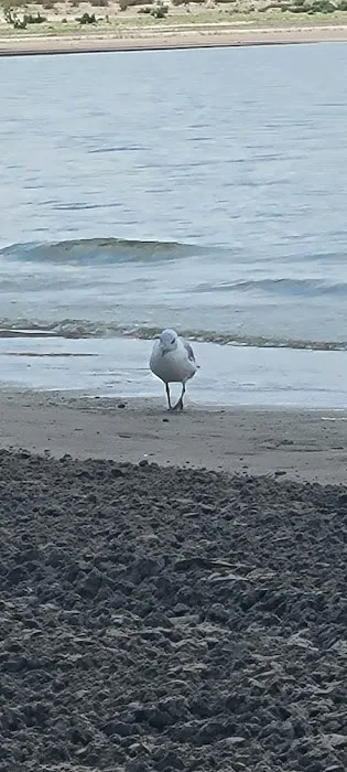 North Beach Campground Picture 2