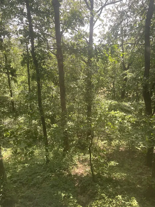 Woodview Mobile Residential Park Picture 5