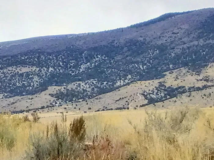 Temple Hill Campground Picture 6