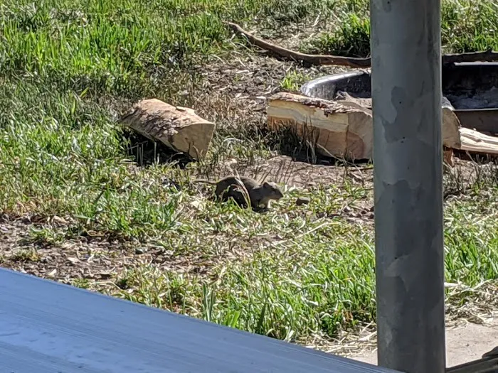 Madsen Bay Campground Picture 4