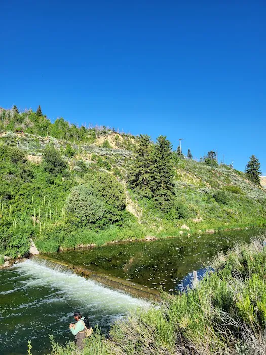 Madsen Bay Campground Picture 2