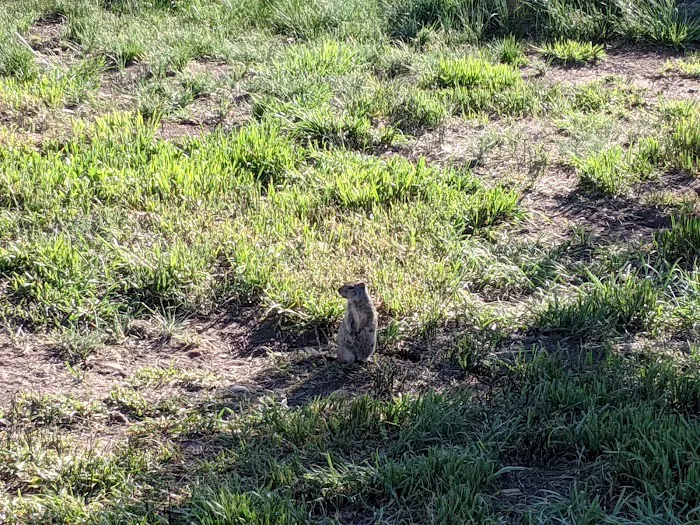 Madsen Bay Campground Picture 9
