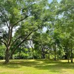 Butterfly Haven RV Resort