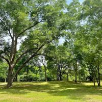 Butterfly Haven RV Resort ico