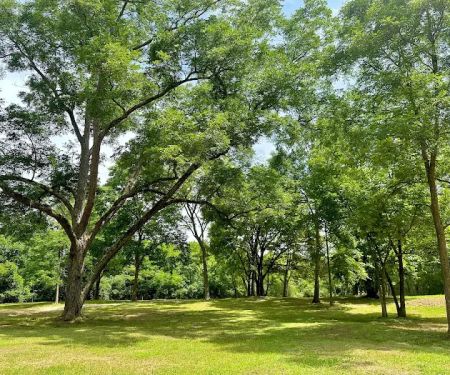 Butterfly Haven RV Resort