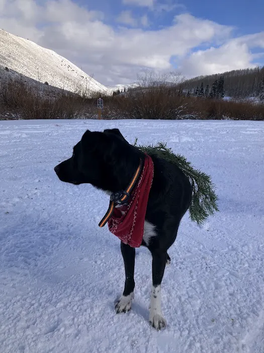 Fish Creek Campground Picture 1