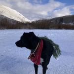 Fish Creek Campground