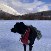 Fish Creek Campground ico