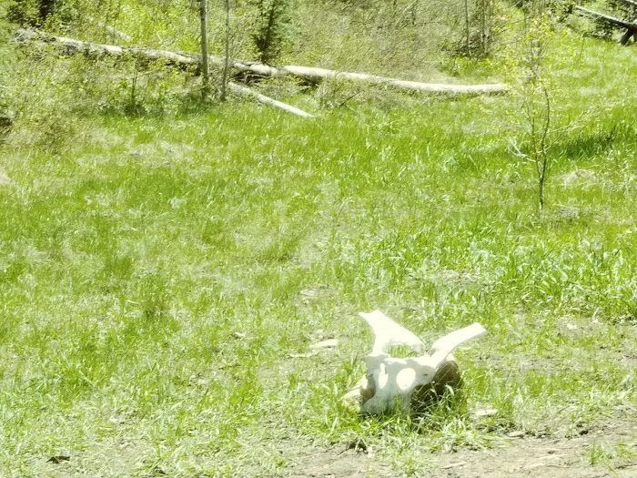 Fish Creek Campground Picture 5