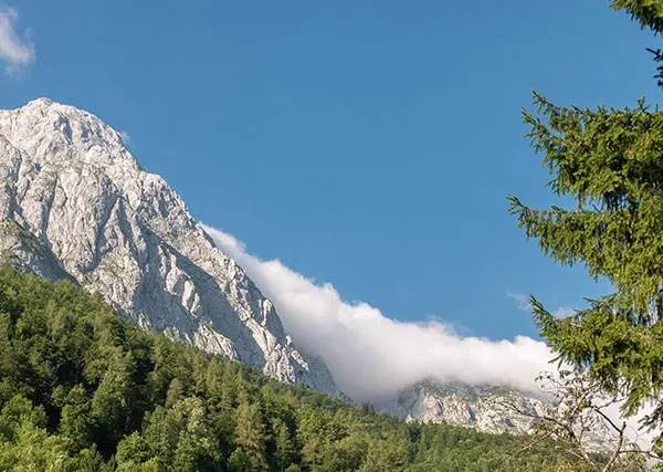 168 RV Park Picture 1