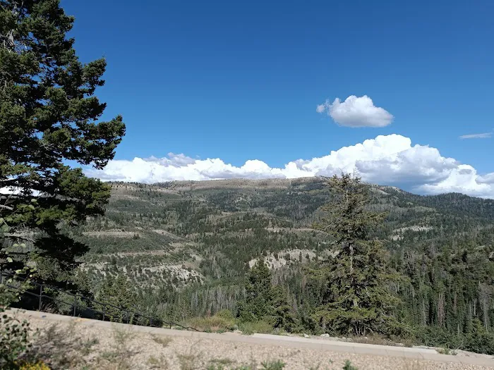 Crescent Regional Recreation Property Picture 1