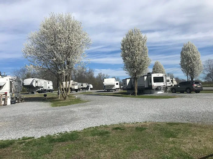 Fisherman's Rest RV Park Picture 8