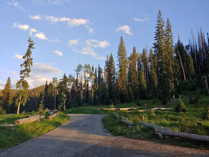 Flat Canyon Campground Picture 7