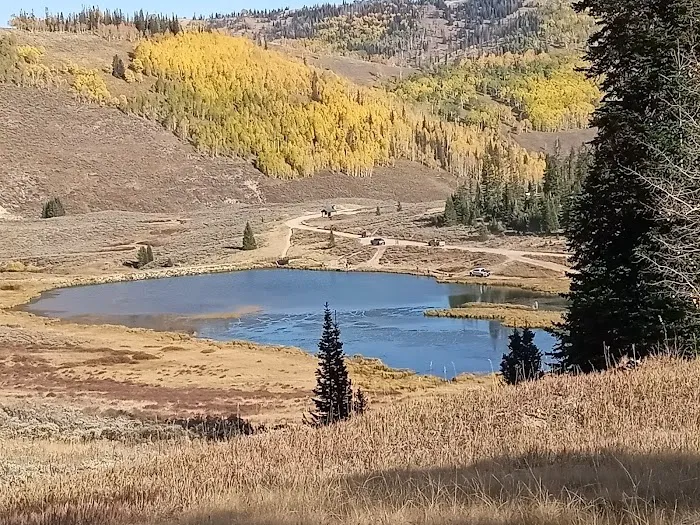 Flat Canyon Campground Picture 8