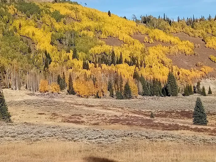 Flat Canyon Campground Picture 9