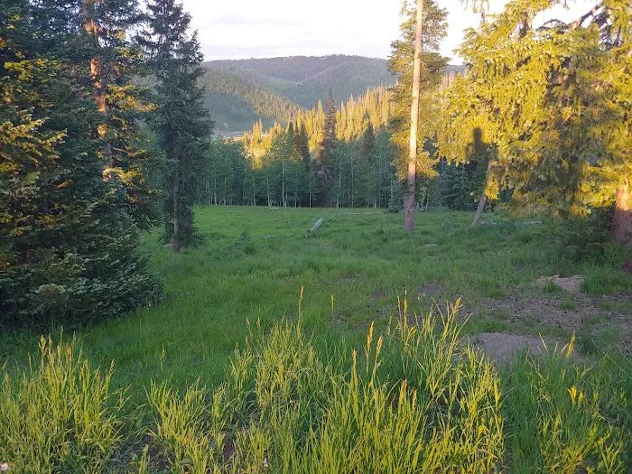 Flat Canyon Campground Picture 5