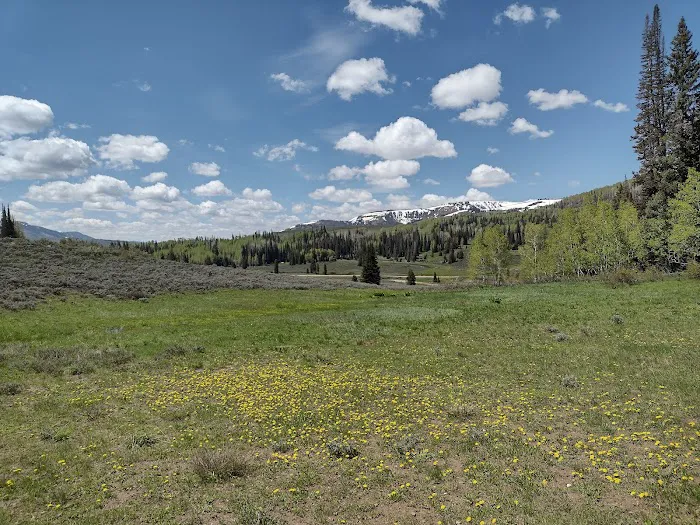 Lake Canyon Recreation Area Campground Picture 7