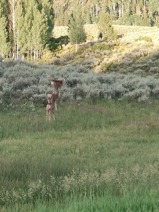 Lake Canyon Recreation Area Campground Picture 5