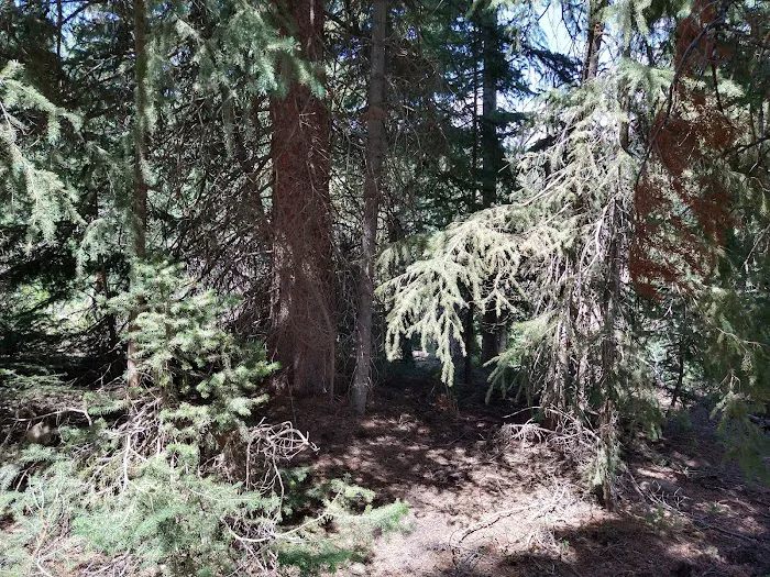 Cleveland Reservoir Campground Picture 6