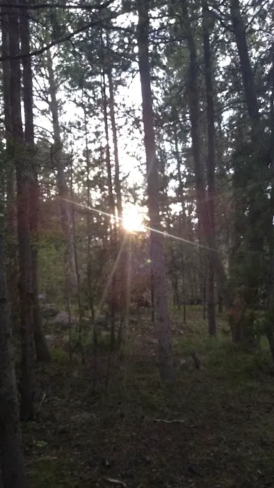 Meeks Cabin Campground Picture 2