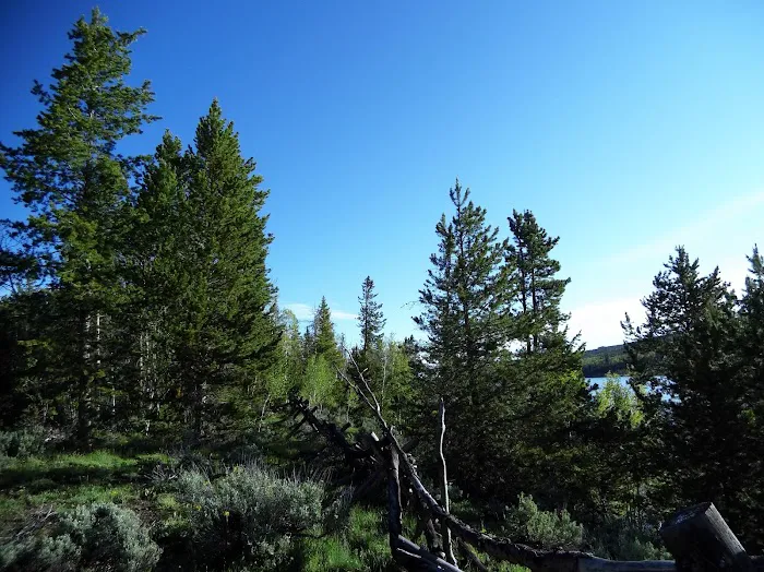 Meeks Cabin Campground Picture 4