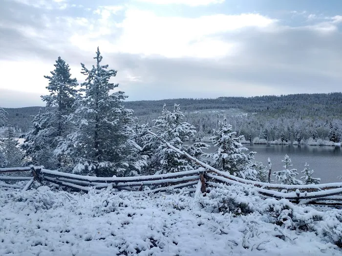 Meeks Cabin Campground Picture 6