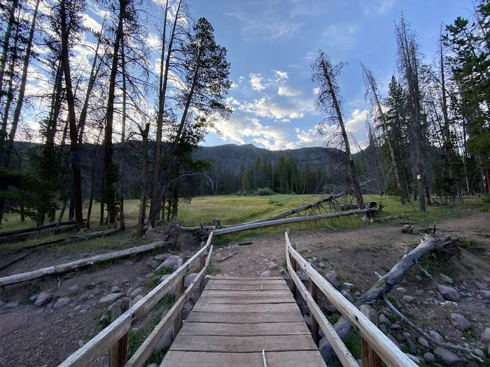 East Fork Black's Fork Campground Picture 3