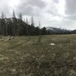 East Fork Black's Fork Campground