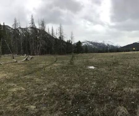 East Fork Black's Fork Campground