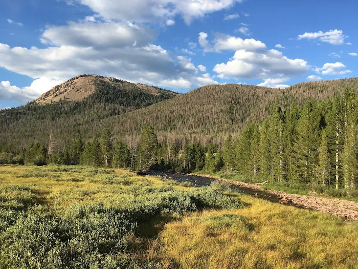 East Fork Black's Fork Campground Picture 5