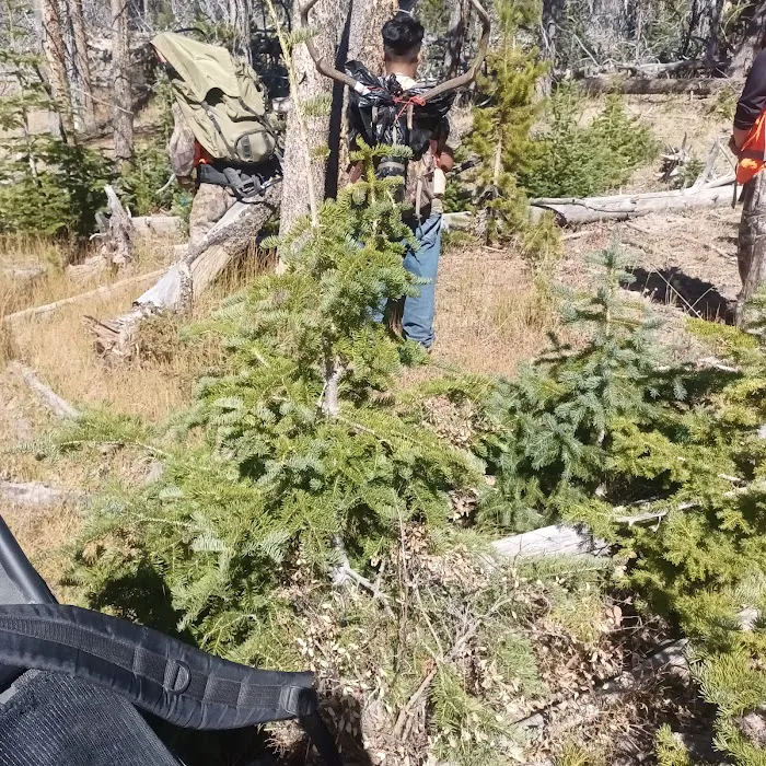 East Fork Black's Fork Campground Picture 4