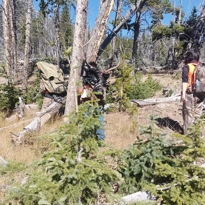 East Fork Black's Fork Campground Picture 6