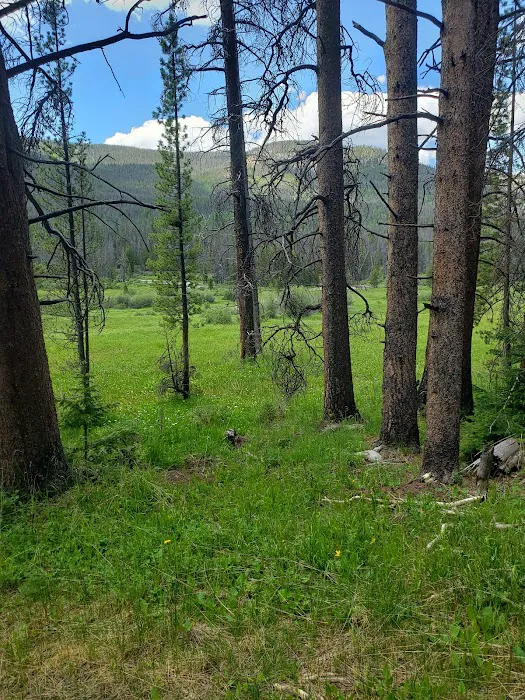 East Fork Black's Fork Campground Picture 10