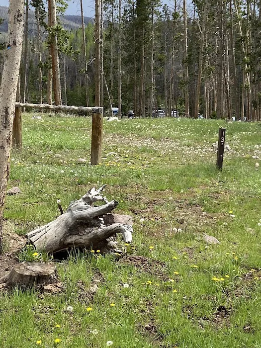 China Meadows Trailhead Campground Picture 7