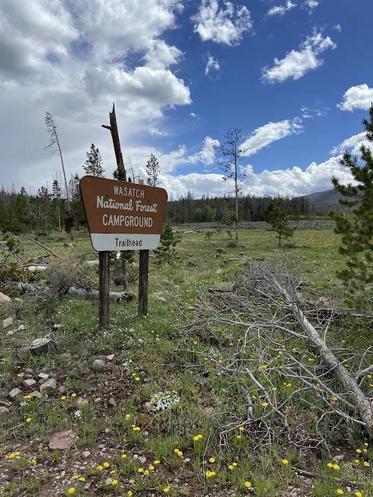 China Meadows Trailhead Campground Picture 5