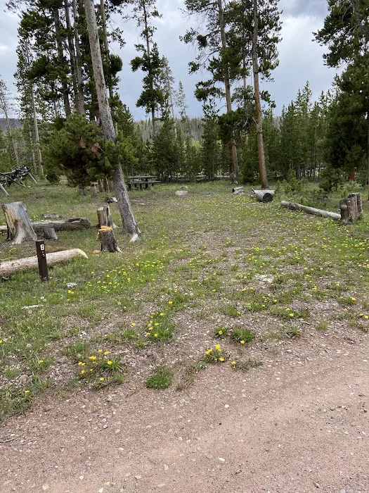 China Meadows Trailhead Campground Picture 9