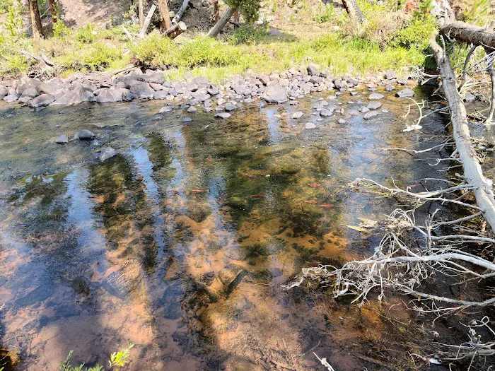 China Meadows Campground Picture 4